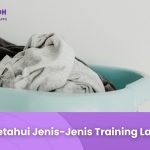 Mengetahuin jenis-jenis Training Laundry